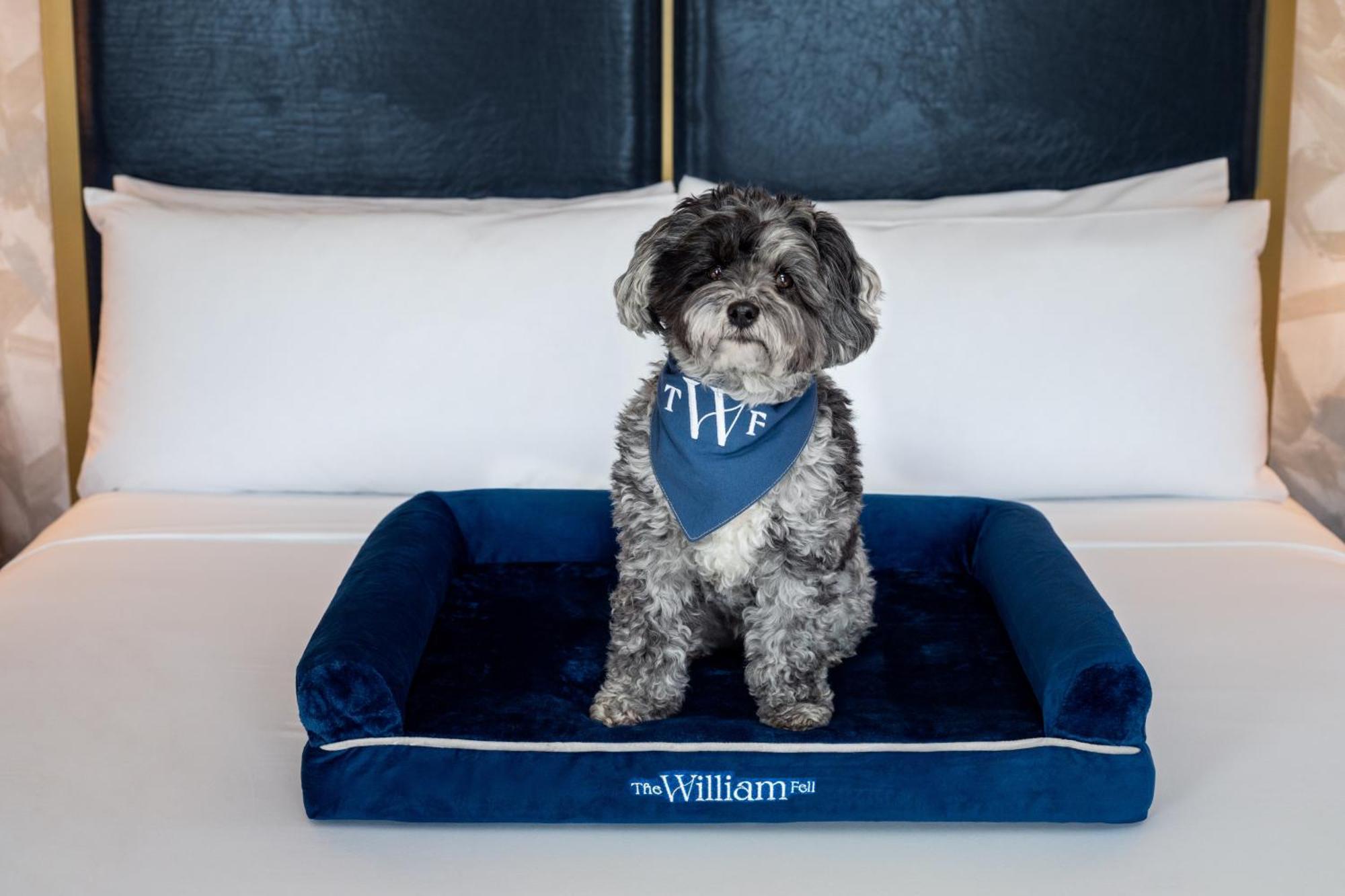 The William Fell Baltimore, Tapestry Collection By Hilton Exterior photo